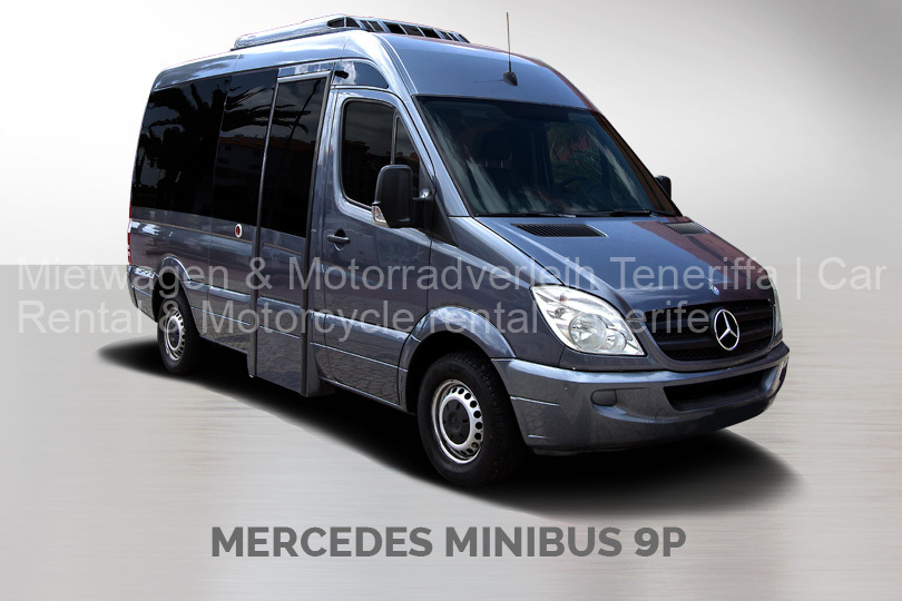 mercedes-minibus-9p